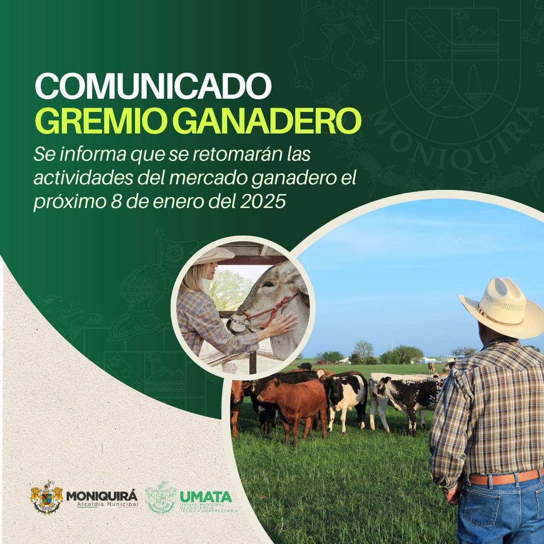 Mercado ganadero retomará sus actividades el próximo 8 de enero de 2025 ...